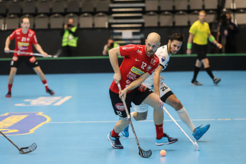 201801 CC2019 Stor FlorMB 0081
