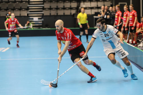 201801 CC2019 Stor FlorMB 0084