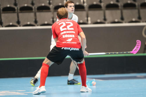201801 CC2019 Stor FlorMB 0099