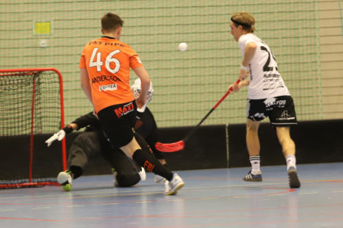 201801 Tull Hag 0307