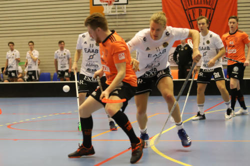 201801 Tull Hag 0313