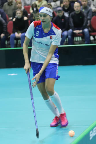 201901 SVKLAT 0025