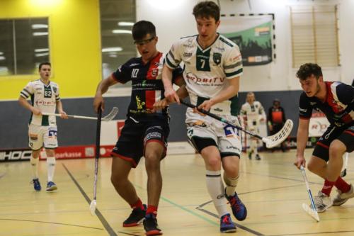 20190929 HoBueBonn 0255