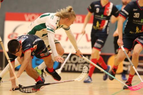 20190929 HoBueBonn 0360