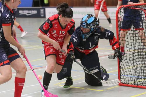 20230326 SSFDragons RedDevils 0470