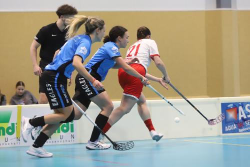 20240106 ZulgtalVisp 0138
