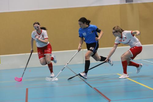 20240106 ZulgtalVisp 0189