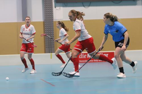 20240106 ZulgtalVisp 0282