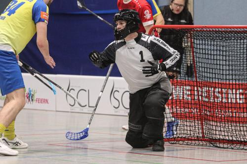 20240217 Erlensee Calw 0199