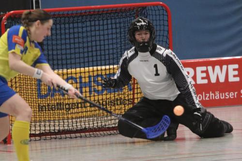 20240217 Erlensee Calw 0293