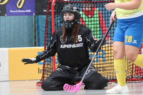 20240217 Erlensee DueFue 0095