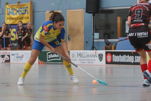 20240217 Erlensee DueFue 0124