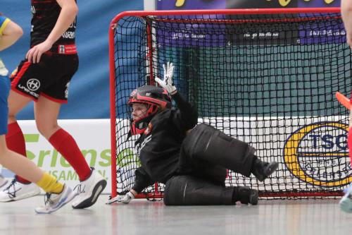 20240217 Erlensee DueFue 0163