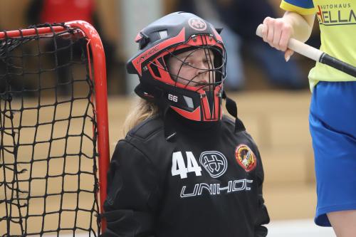 20240217 Erlensee DueFue 0215