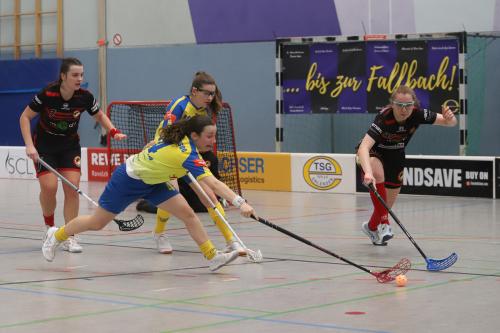 20240217 Erlensee DueFue 0259