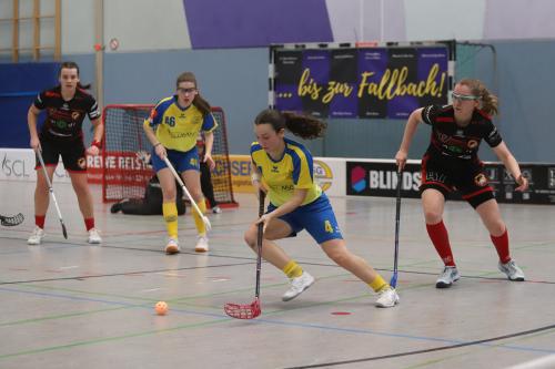 20240217 Erlensee DueFue 0262