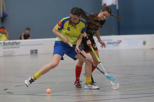 20240217 Erlensee DueFue 0286