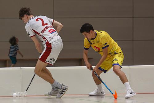 20240831 DresdenWSF 0219