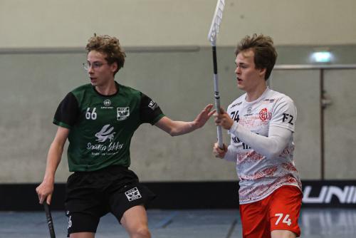 20241110 ETV2Eiche 0061