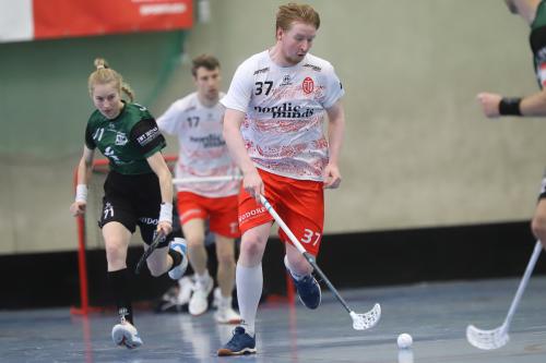 20241110 ETV2Eiche 0180