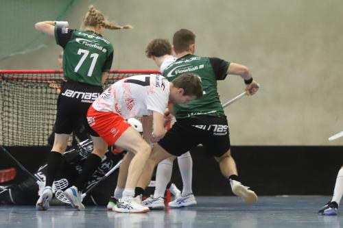 20241110 ETV2Eiche 0182
