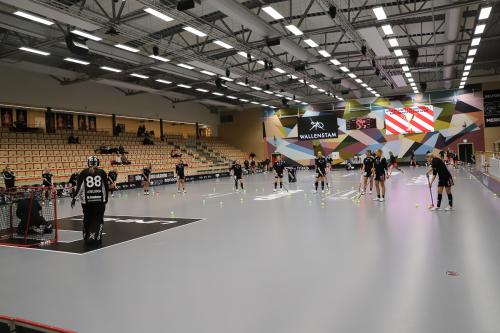 20241221 PixboDFalun 0002