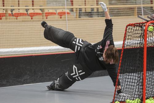 20241221 PixboDFalun 0009