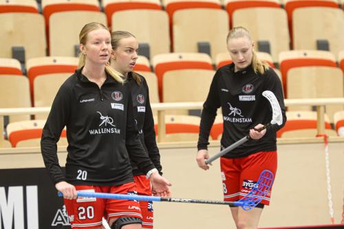 20241221 PixboDFalun 0022