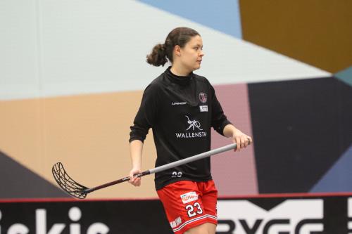 20241221 PixboDFalun 0023