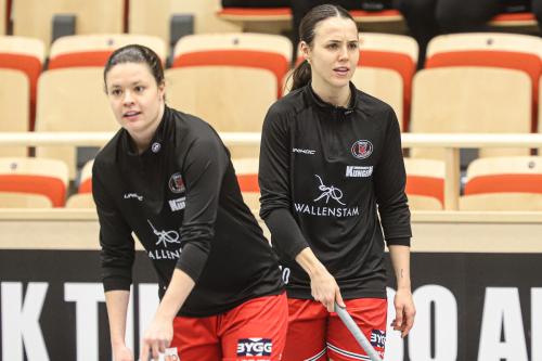 20241221 PixboDFalun 0030