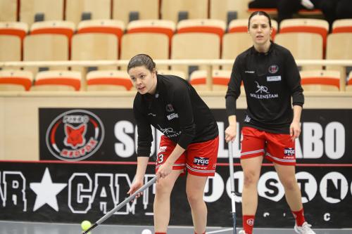 20241221 PixboDFalun 0031