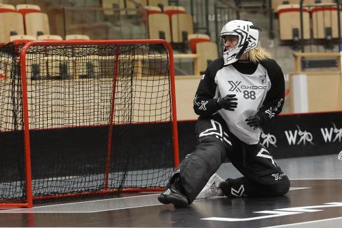20241221 PixboDFalun 0042