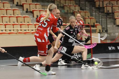20241221 PixboDFalun 0047