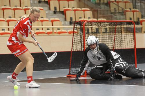20241221 PixboDFalun 0056