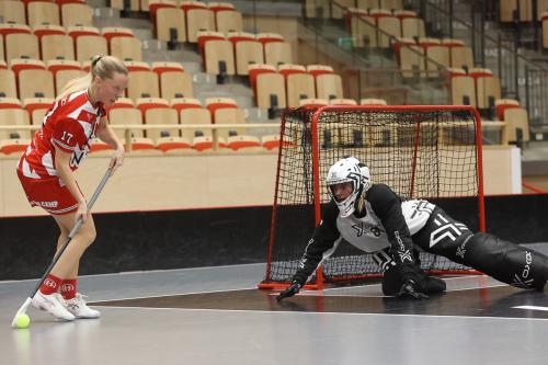 20241221 PixboDFalun 0057