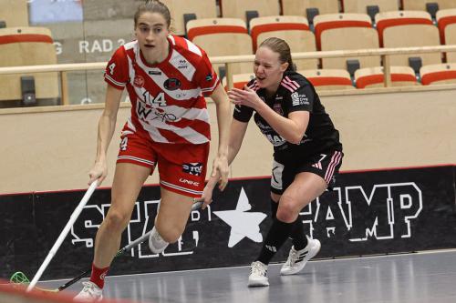 20241221 PixboDFalun 0067