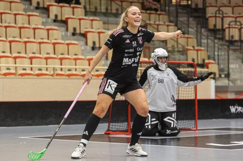 20241221 PixboDFalun 0071