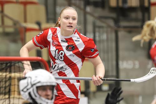 20241221 PixboDFalun 0073