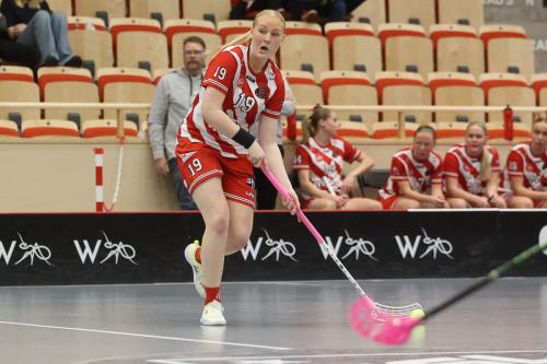 20241221 PixboDFalun 0087