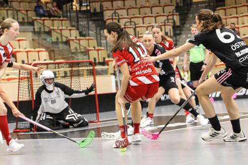 20241221 PixboDFalun 0089