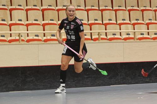 20241221 PixboDFalun 0092