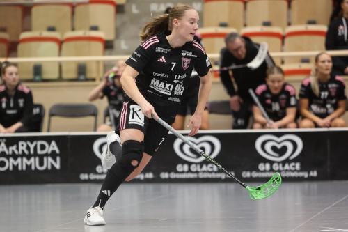 20241221 PixboDFalun 0093