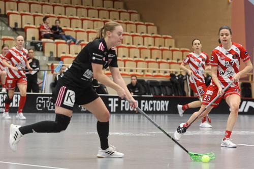 20241221 PixboDFalun 0096