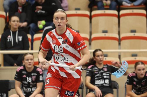 20241221 PixboDFalun 0102