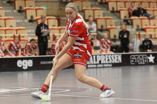 20241221 PixboDFalun 0105