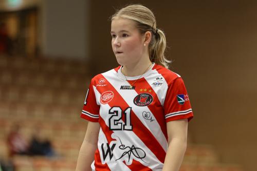 20241221 PixboDFalun 0125