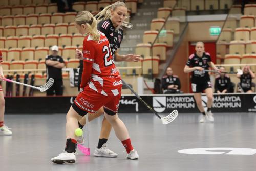 20241221 PixboDFalun 0142