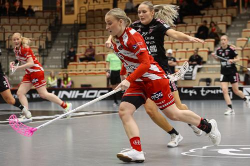 20241221 PixboDFalun 0145