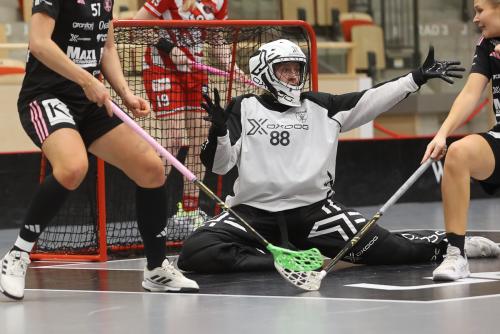 20241221 PixboDFalun 0148