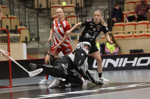 20241221 PixboDFalun 0160